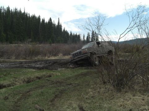 1995 Ford Bronco - A 1995 Ford Bronco is stuck in the mud off-road, surrounded by brush and trees.