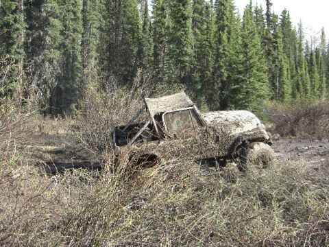 1995 Ford Bronco - Off-road vehicle submerged in mud and vegetation in a wooded area.