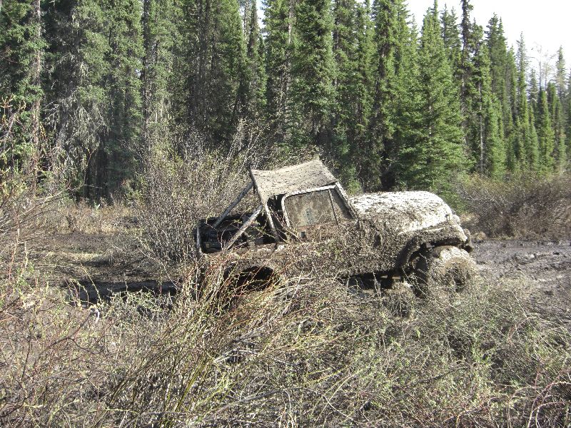 Mud-covered off-road vehicle stuck in brush with trees in background