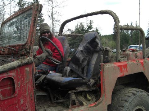 1995 Ford Bronco - A person and a dog sit inside a mud-covered red off-road vehicle during an outdoor event.