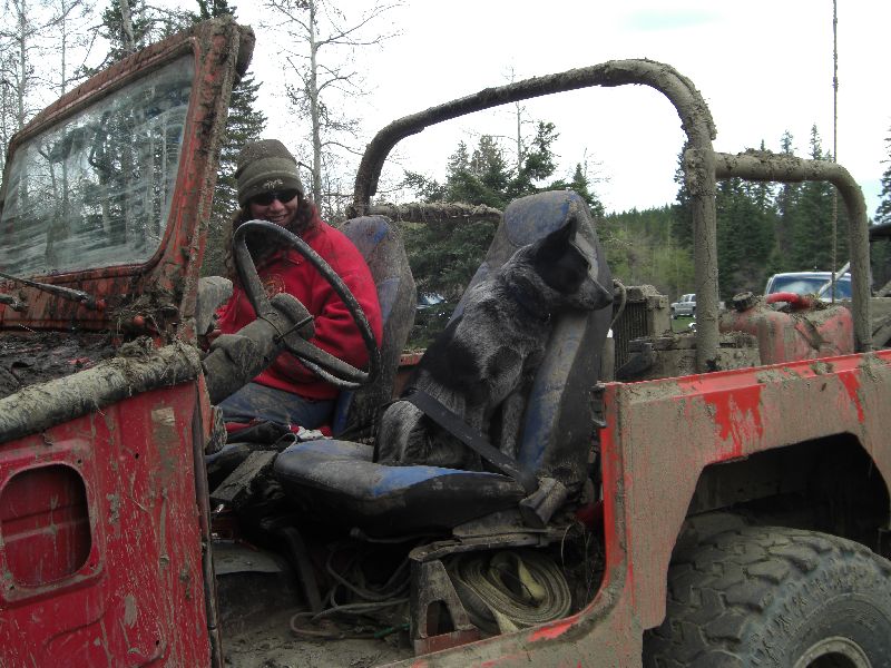 Red off-road vehicle interior with person and dog covered in mud