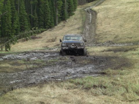 1995 Ford Bronco - A blue off-road vehicle navigates a muddy track through a wooded area.