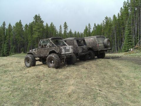 1995 Ford Bronco - Three heavily mud-covered off-road vehicles are parked in a grassy clearing surrounded by pine trees.