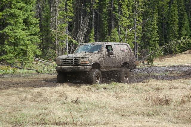 Mud-covered SUV stuck in a muddy forest clearing, front 3/4 view