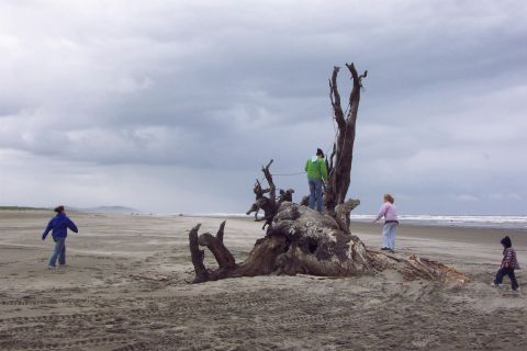 1996 Ford Bronco - Kids playing on the log/root. (5/19/2007)