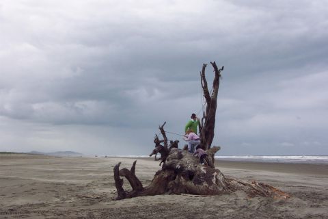 1996 Ford Bronco - Kids playing on the log/root. (5/19/2007)