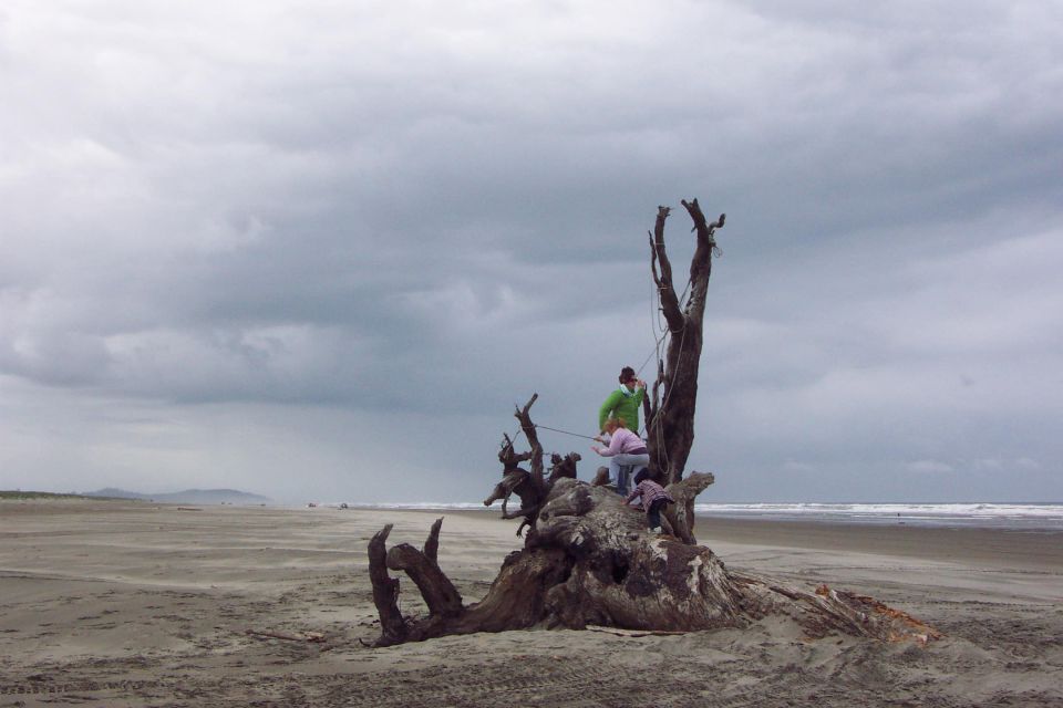 Kids playing on the log/root. 
(5/19/2007)