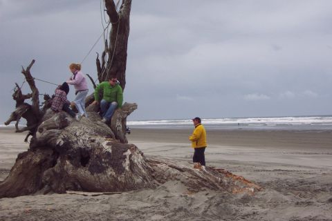 1996 Ford Bronco - Kids playing on the log/root. (5/19/2007)