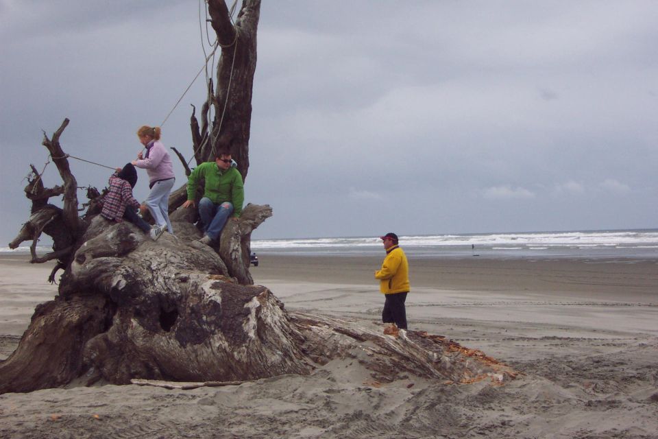 Kids playing on the log/root. 
(5/19/2007)