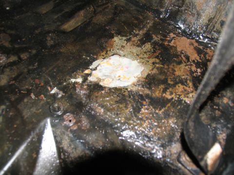1978 Ford Bronco - The interior floor pan of a vehicle shows significant rust and water damage.