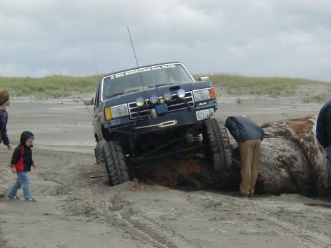 1994 Ford Explorer - A modified Ford Bronco is stuck on a sandy beach near a large piece of driftwood, with several people observing.