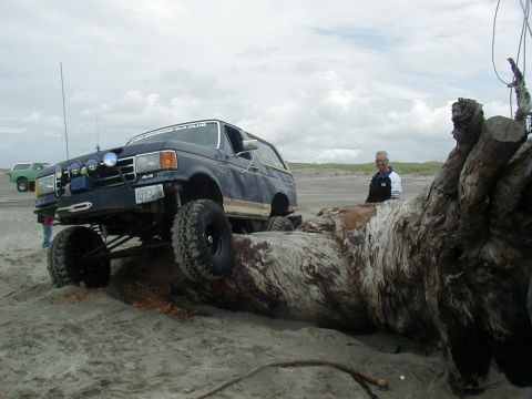 1994 Ford Explorer - A modified Ford Bronco navigates a large piece of driftwood on a sandy beach, with another vehicle visible in the background.
