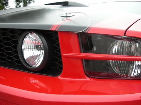 1998 Ford Crown Victoria - Close-up of the front grille and headlights of a red Ford Mustang.