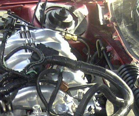 1997 Ford Taurus - Close-up view of an engine bay, showing the intake manifold and various hoses and wiring.