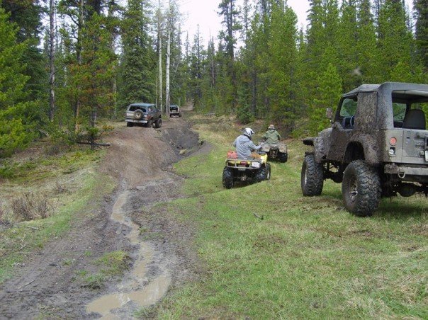 Mud-covered Jeep Wrangler rear view, two ATVs, and two SUVs on a forest trail