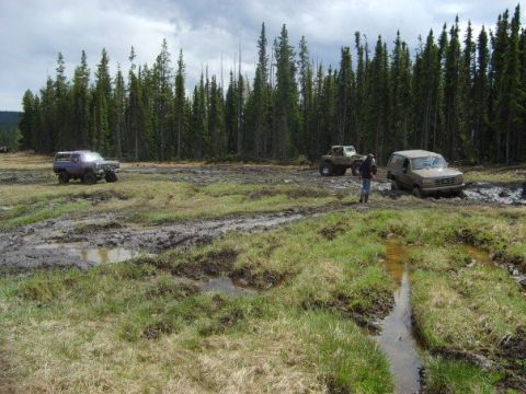 1995 Ford Bronco - Off-roading adventure turns into a muddy challenge with multiple vehicles stuck in the mire.