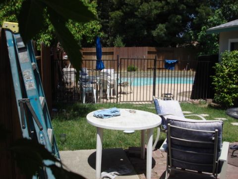 1983 Ford Bronco - this is the grass area back yard in between the house and the pool
