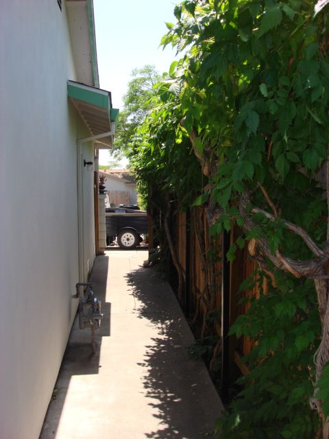1983 Ford Bronco - this is the west side yard looking out to the front of the house. the only thing on this side is the small grage door.