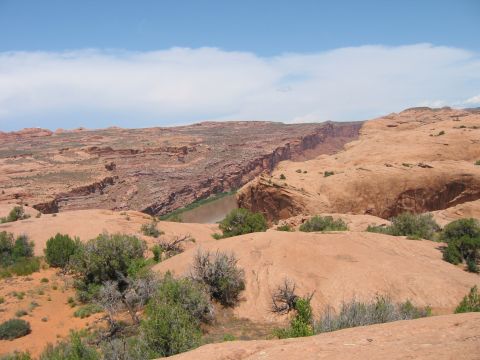 1997 Ford Ranger - A wide view of a desert canyon with a river flowing through it, surrounded by red rock formations and sparse vegetation.