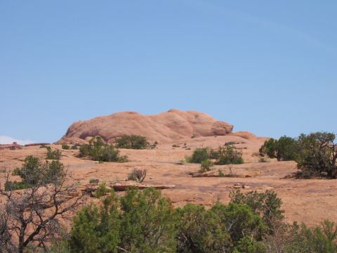 1997 Ford Ranger - A scenic view of the desert terrain, characterized by its unique rock formations and scattered vegetation, under a bright blue sky.