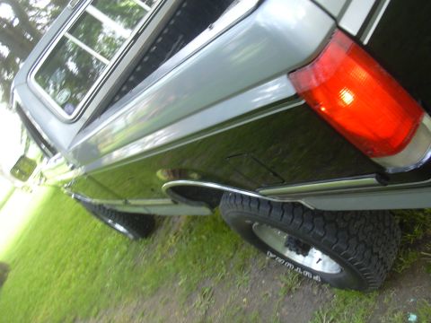 1992 Ford F-250 - The rear quarter panel and taillight of a 1992 Ford F-250 pickup truck are visible in this image.