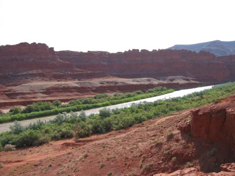 1997 Ford Ranger - A wide river flows through a canyon surrounded by red rock formations and green foliage.