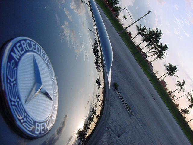 Mercedes-Benz hood emblem on a dark car with palm tree reflections