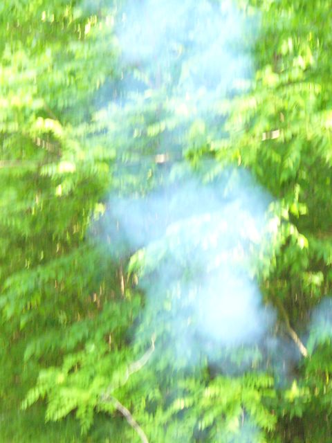 1991 Ford Probe - Smoke drifts through dense green trees, obscuring the view.