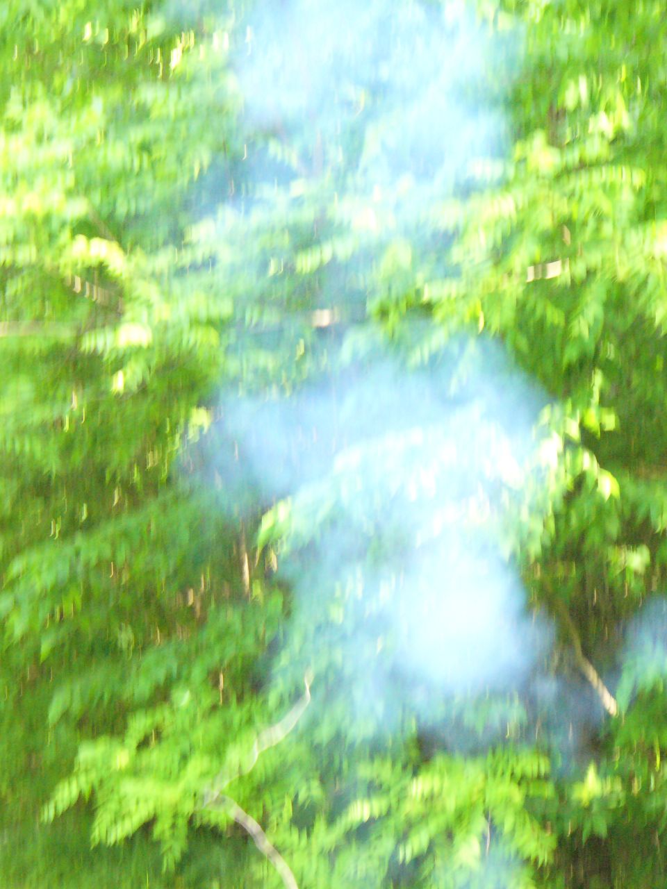 Smoke rising through green foliage with a Supermotors logo at the bottom right