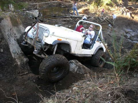 1979 Ford Bronco - A white Jeep Wrangler navigates a challenging off-road course, getting stuck against a large fallen tree.