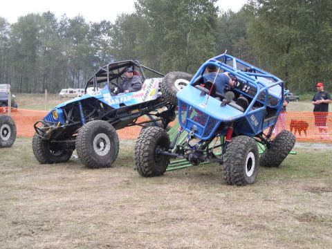 1979 Ford Bronco - Two custom off-road buggies are shown in a grassy field, one blue and one blue and yellow, with drivers visible.