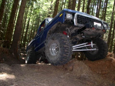1979 Ford Bronco - This modified SUV navigates a wooded trail, its front end angled towards the viewer.
