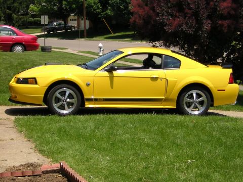 2004 Ford Mustang - A yellow Ford Mustang is parked on a grassy lawn in front of a house.