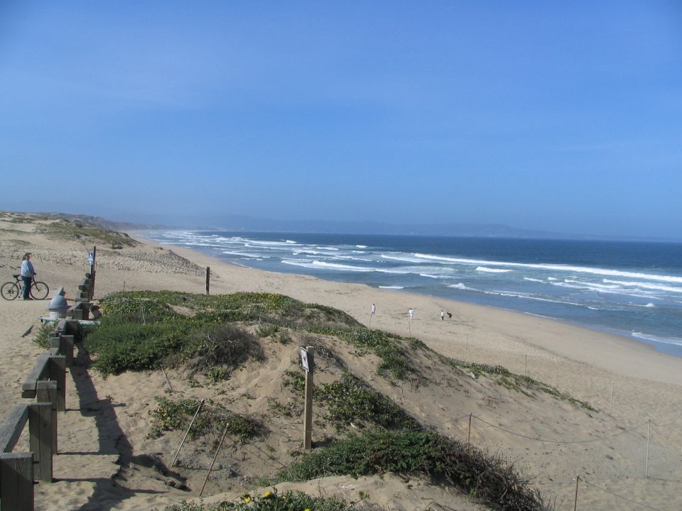 Person on a bicycle near a sandy beach with ocean waves