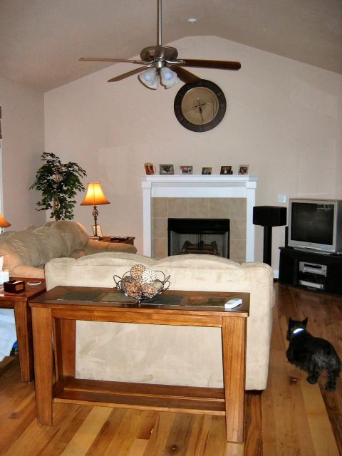1985 Ford Crown Victoria LTD - Interior view of a living room with furniture and a black dog.