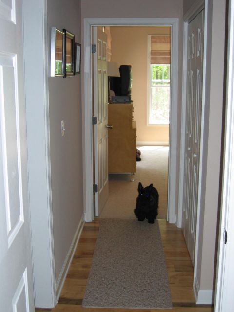 1985 Ford Crown Victoria LTD - Hallway from Garage to Master bedroom.