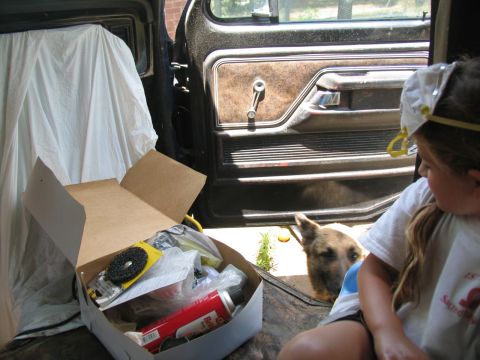 1978 Ford Bronco - A box of supplies sits inside a vehicle, with a dog and a child observing.