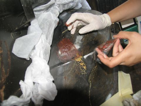 1978 Ford Bronco - Hands apply a substance to a dark surface, possibly for repair or treatment.