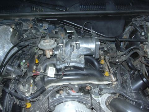 1996 Ford Crown Victoria - Engine bay components, including intake manifold and fuel injectors, are shown in this close-up view.