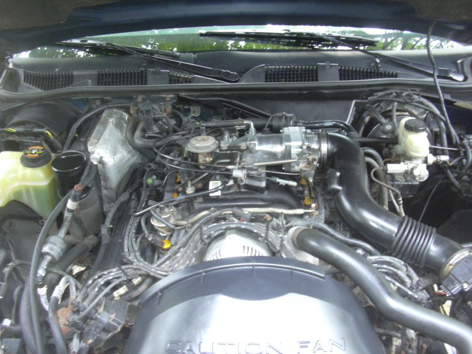 1996 Ford Crown Victoria engine bay with V8 engine components visible