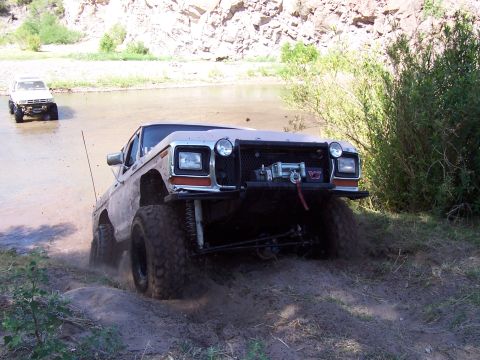 1981 Ford F-150 - Oney on first hill