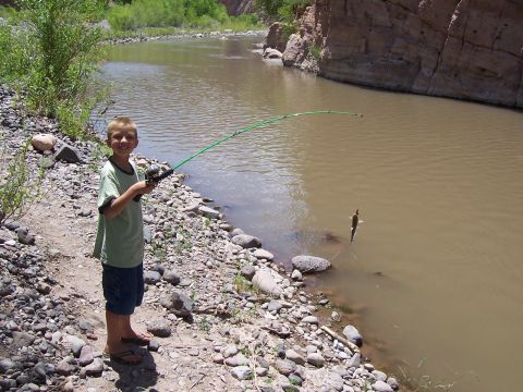 1981 Ford F-150 - A young boy fishes from the bank of a wide, muddy river flowing through a canyon.