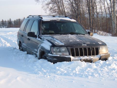 1979 Ford Bronco - Jeep stuck