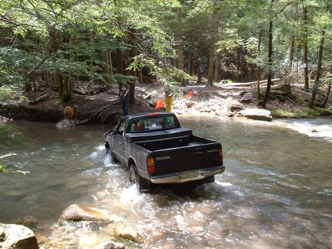 1991 Ford Bronco - A black Toyota Tacoma pickup truck navigates a stream in a wooded area.