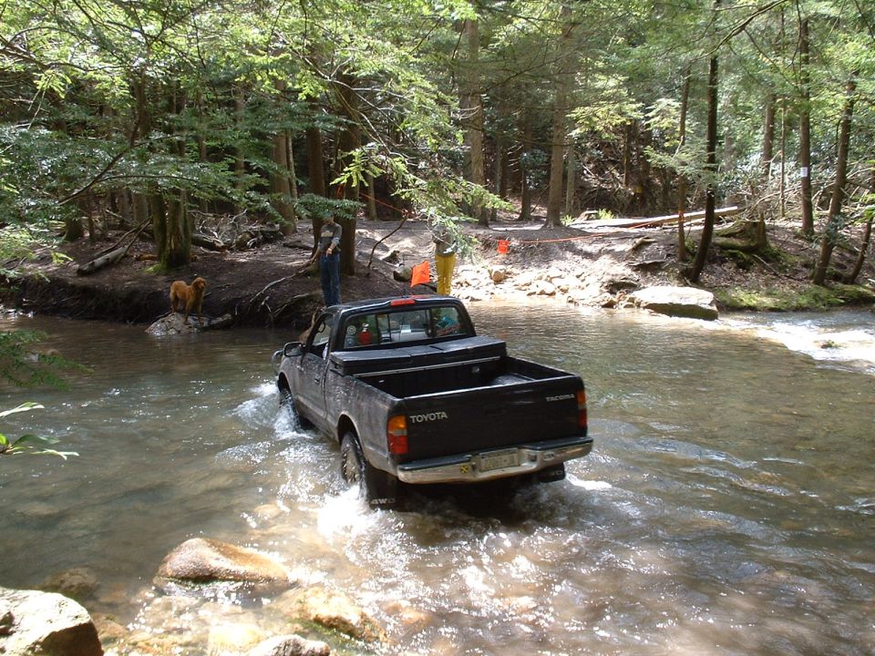 Black Toyota Tacoma pickup truck driving through a shallow forest stream, rear view