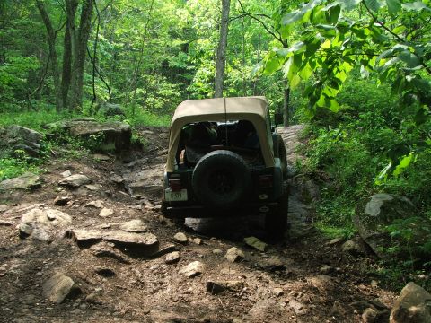 1996 Ford Bronco - A Jeep Wrangler navigates a challenging, rocky path through a dense forest.