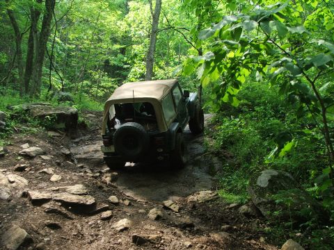 1996 Ford Bronco - A green Jeep Wrangler navigates a challenging, rocky trail surrounded by lush green trees.