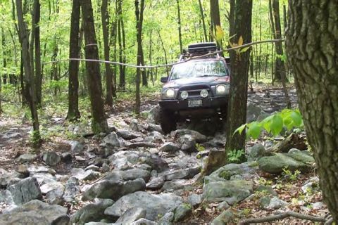 1991 Ford Bronco - An off-road SUV with a roof rack tackles a challenging rocky path through a dense forest.