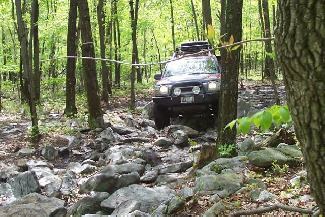 Red SUV navigating a rocky forest trail with a roof rack
