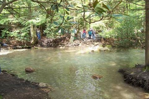 1991 Ford Bronco - A group of people gather by a creek in a wooded area.